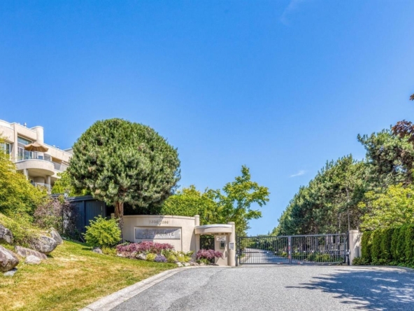 262925218 3ec2e196 0867 4c34 b65e 3c2a1bc236ab