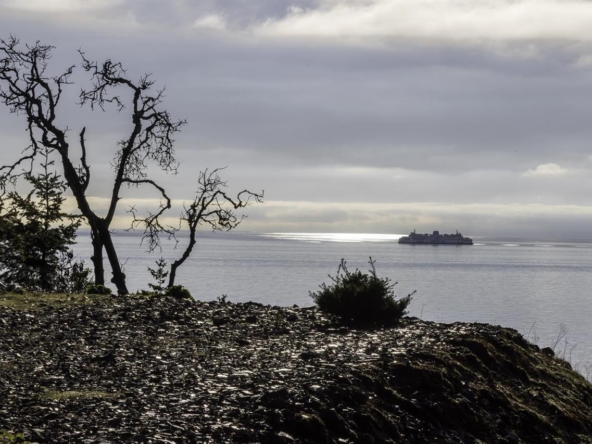 262974738 3d1f3749 f80b 4ed9 b43f 8ea85a6b46ab